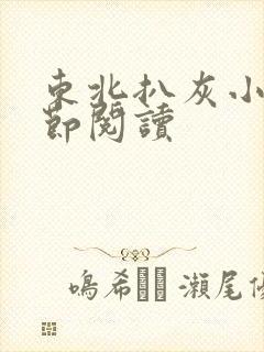 东北扒灰小说分节阅读