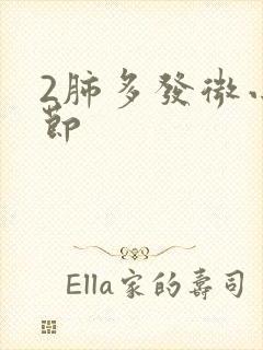 2肺多发微小结节