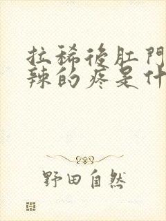 拉稀后肛门火辣辣的疼是什么原因引起的封面