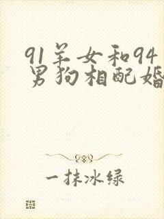 91羊女和94男狗相配婚姻如何