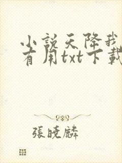 小说天降我才必有用txt下载
