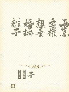 离婚想要两个孩子抚养权怎么判