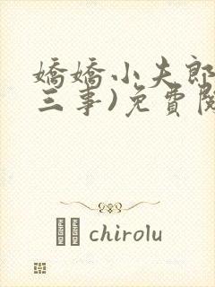 娇娇小夫郎(二三事)免费阅读