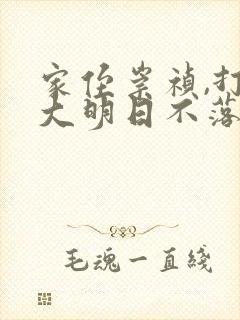 家侄崇祯,打造大明日不落小说