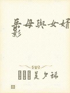 岳母与女婿的电影封面