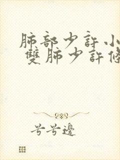 肺部少许小结节 双肺少许条索影