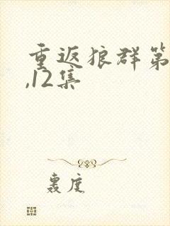 重返狼群第11,12集