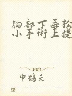 胸部下垂松弛缩小手术上提需要多少钱