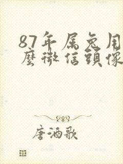 87年属兔用什么微信头像最好封面