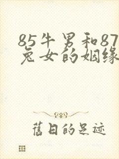 85牛男和87兔女的姻缘