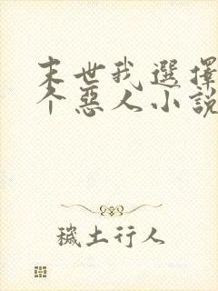 末世我选择做一个恶人小说封面