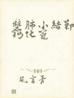 双肺小结节右肺钙化灶封面