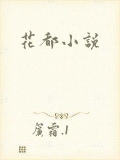 花都小说封面
