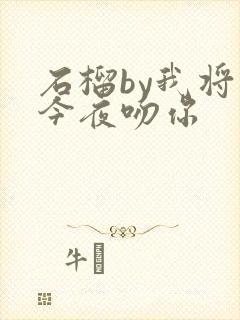 石榴by我将在今夜吻你封面