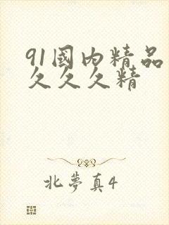 91国内精品久久久久精