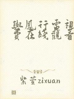 与凤行电视剧免费在线观看