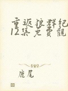 重返狼群纪录片12集免费观看