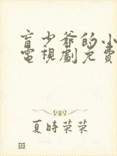 盲少爷的小女仆电视剧免费观看