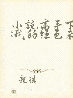 小说,高手下山:我的绝色未婚妻