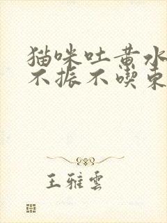 猫咪吐黄水精神不振不吃东西