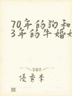 70年的狗和73年的牛婚姻相配吗封面