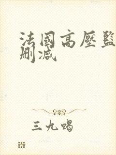 法国高压监狱未删减