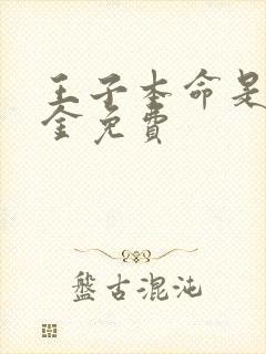 王子本命是恶千金免费