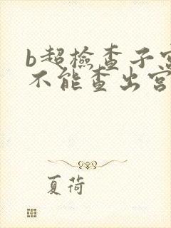 b超检查子宫能不能查出宫颈问题吗