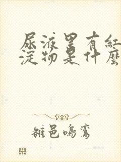 尿液里有红色沉淀物是什么原因