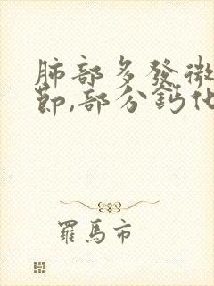 肺部多发微小结节,部分钙化