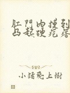 肛门内摸到一个凸起硬疙瘩