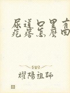 尿道口里有小肉疙瘩怎么回事