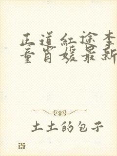 正道红途李初年童肖媛最新版