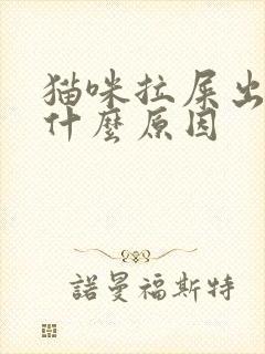 猫咪拉屎出血是什么原因