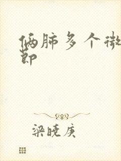 俩肺多个微小结节