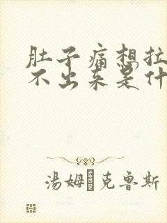 肚子痛想拉又拉不出来是什么原因