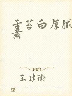 舌苔白厚腻有点黄