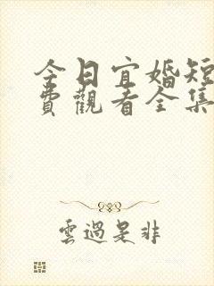 今日宜婚短剧免费观看全集