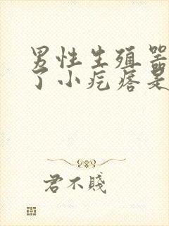 男性生殖器上长了小疙瘩是什么病