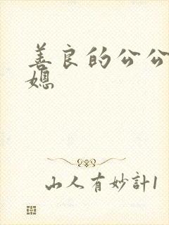 善良的公公与儿媳封面