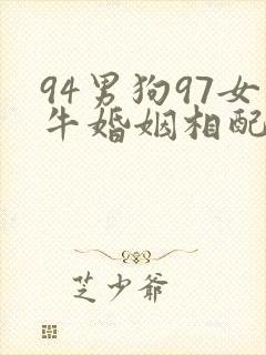 94男狗97女牛婚姻相配好吗