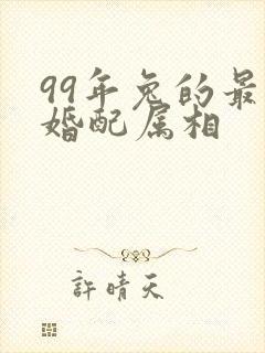 99年兔的最佳婚配属相封面
