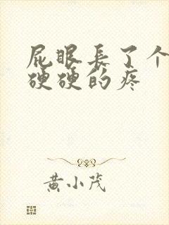 屁眼长了个肉球硬硬的疼封面