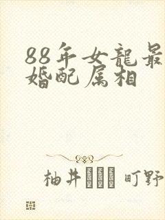 88年女龙最佳婚配属相封面
