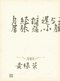 月经推迟5天乳房胀痛,小腹阵痛有分泌物