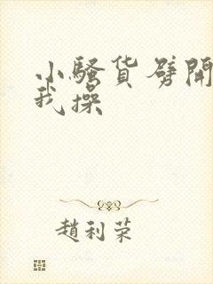 小骚货劈开腿让我操封面