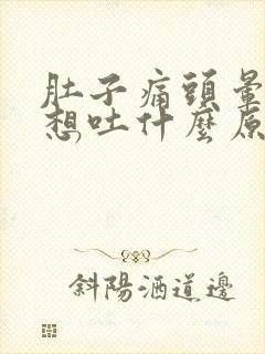 肚子痛头晕恶心想吐什么原因