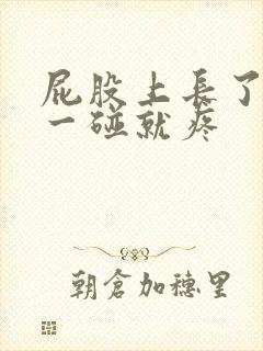 屁股上长了疙瘩一碰就疼