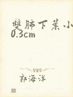 双肺下叶小结节0.3cm