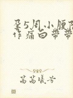 孕5周小腹隐隐作痛白带带血封面